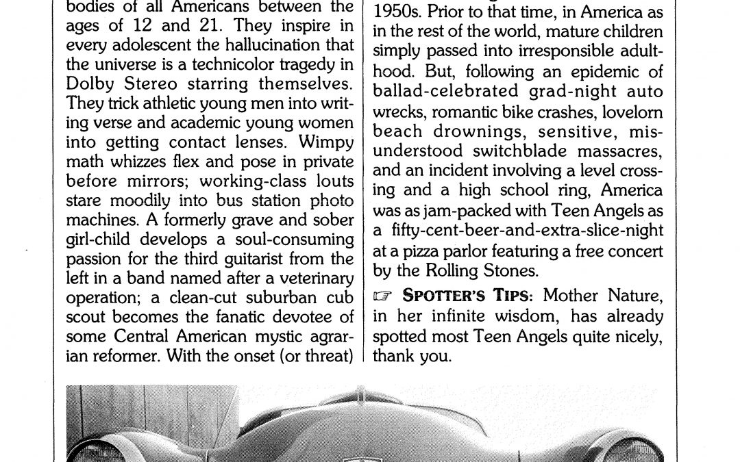 TEEN ANGELS