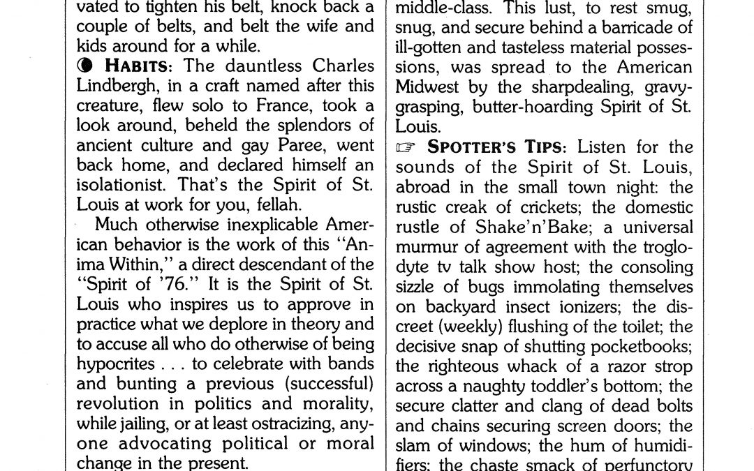 THE SPIRIT OF ST. LOUIS