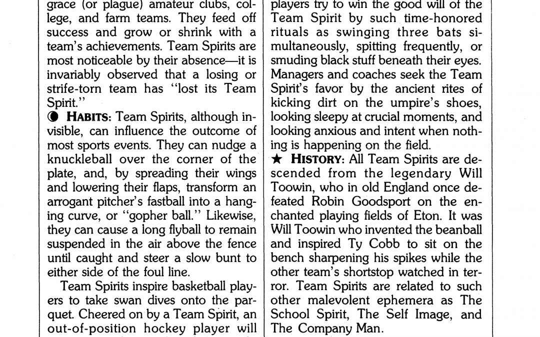 TEAM SPIRITS