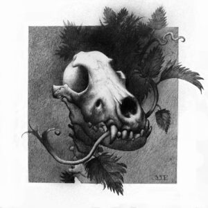 *SOLD* Nettle & Bone illustration by John Jude Palencar